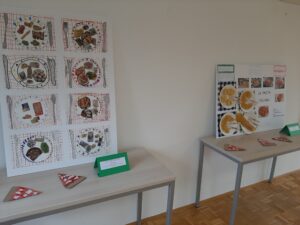 I lavori esposti-Razstavljena dela