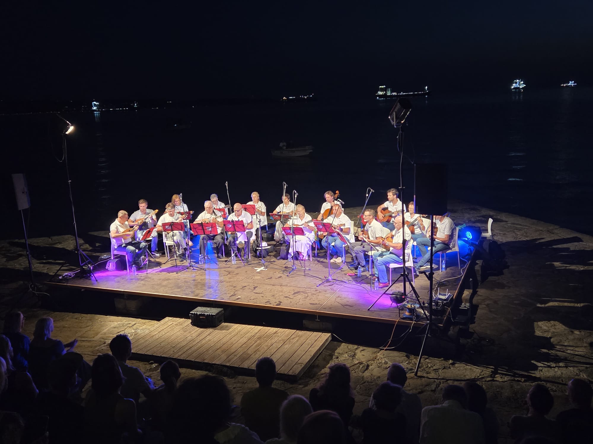 Musicisti sul palco/Glasbeniki na odru