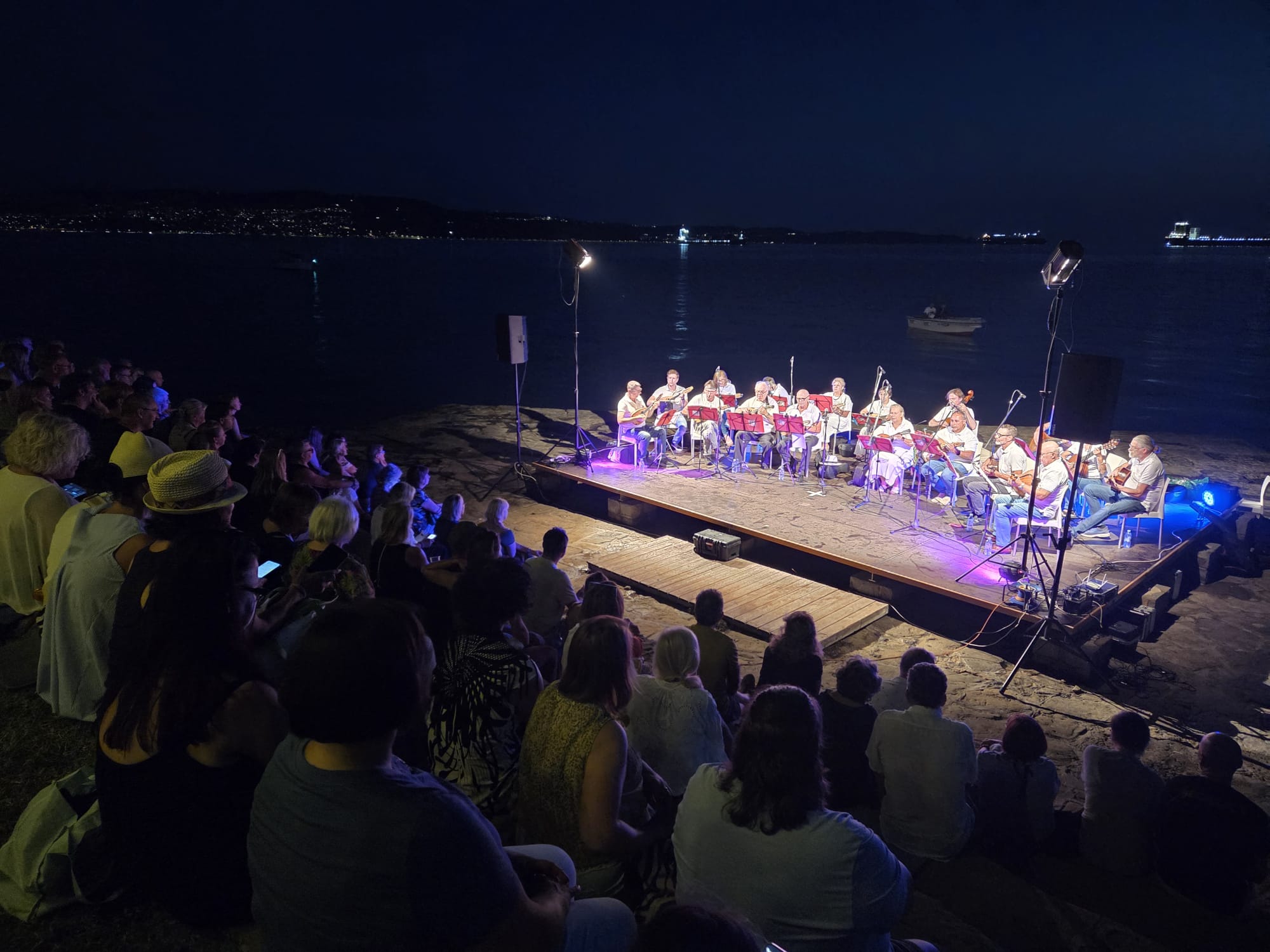 Musicisti sul palco/Glasbeniki na odru