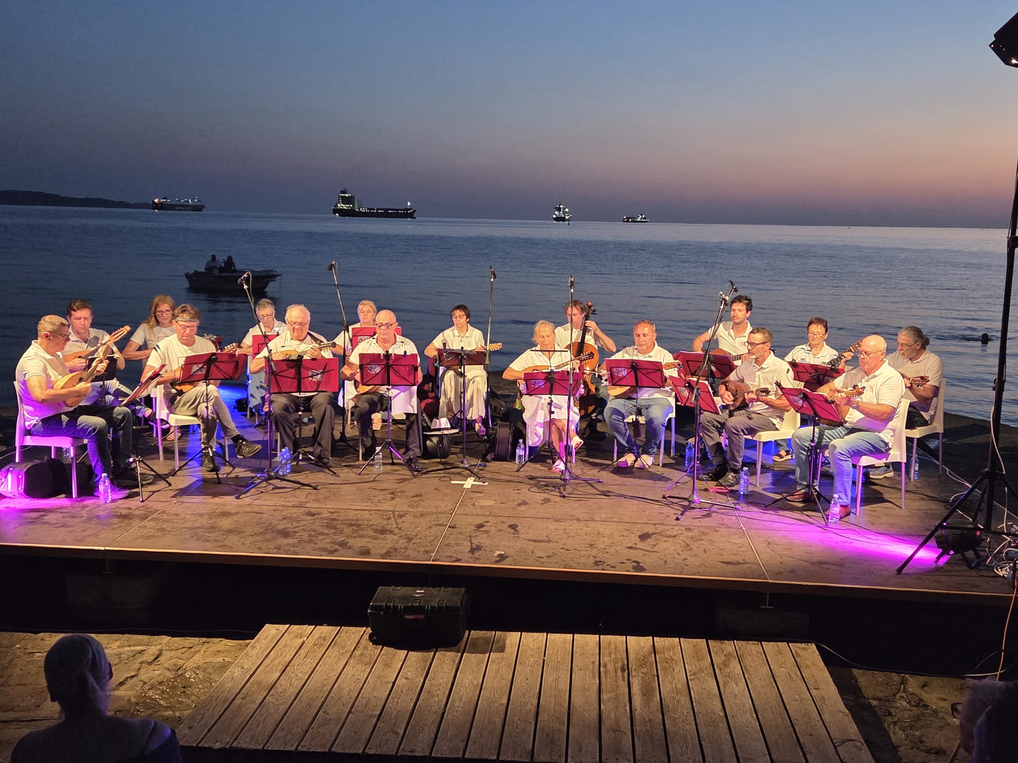 Musicisti sul palco/Glasbeniki na odru
