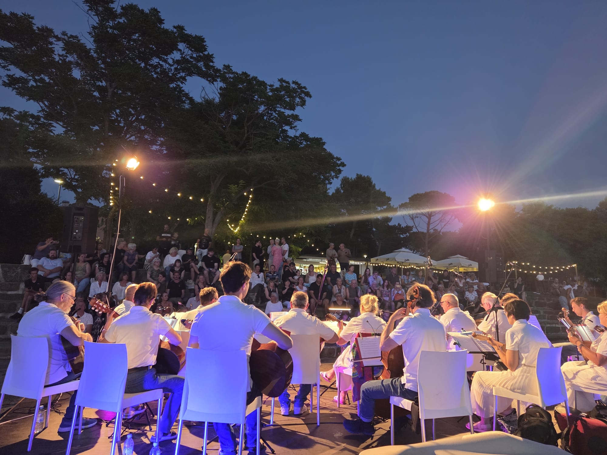 I musicisti e il pubblico/Glasbeniki in občinstvo