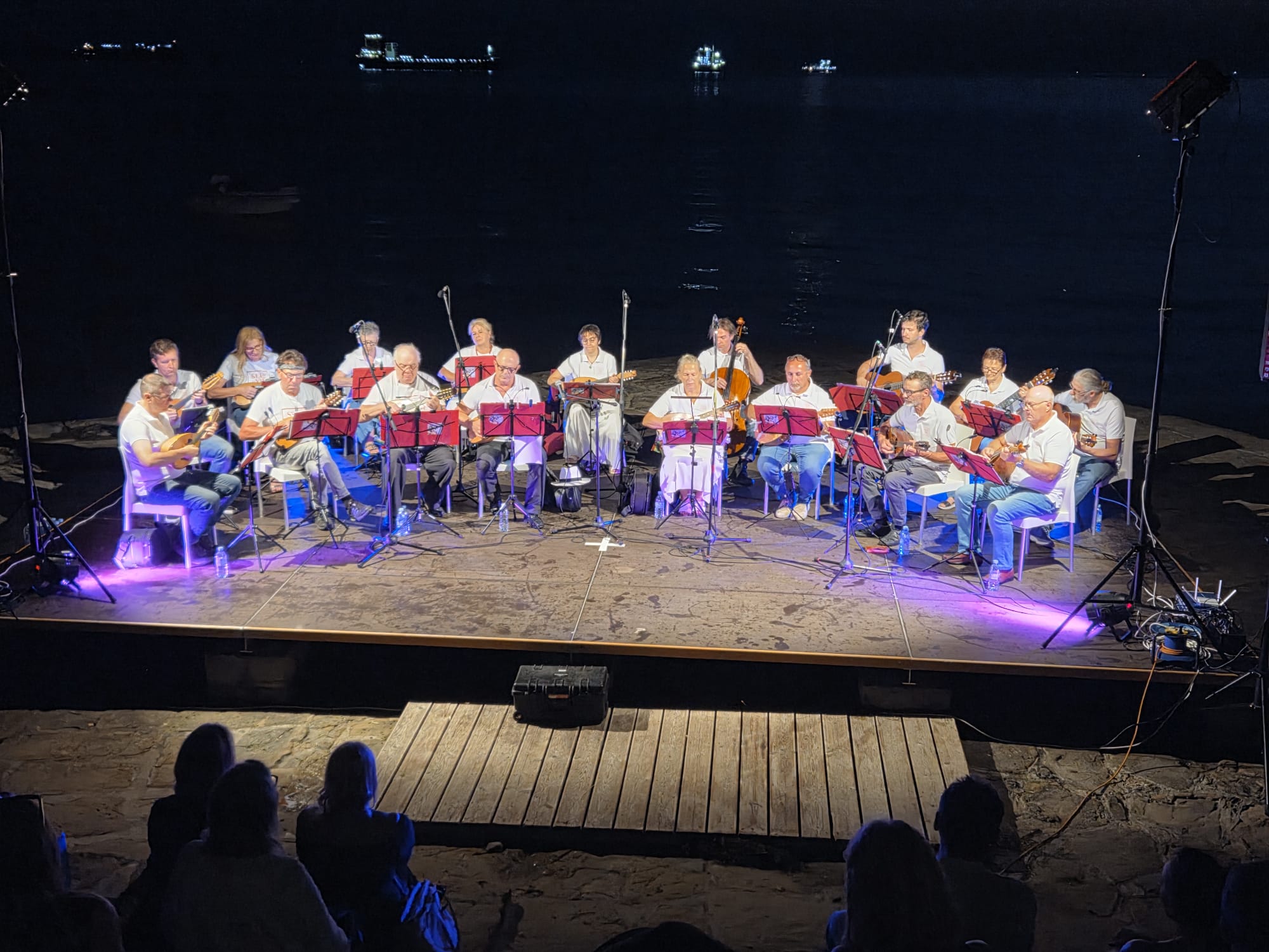 Musicisti sul palco/Glasbeniki na odru